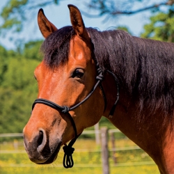 Horse Rope Halter - Natural Horsemanship Parelli Style Halter